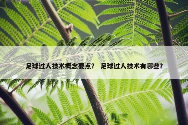 足球过人技术概念要点？ 足球过人技术有哪些？