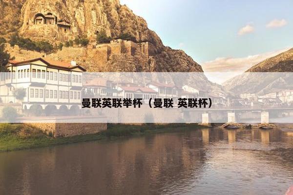 曼联英联举杯（曼联 英联杯）