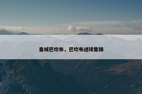 曼城巴坎布，巴坎布进球集锦