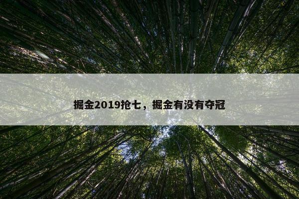 掘金2019抢七，掘金有没有夺冠
