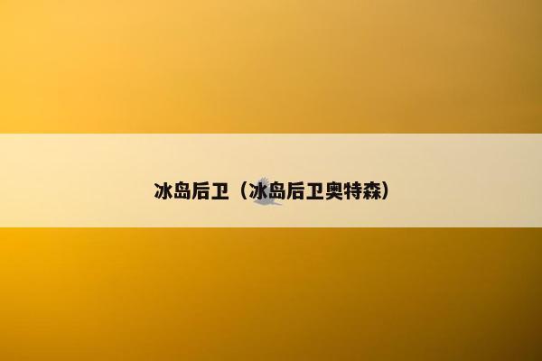 冰岛后卫（冰岛后卫奥特森）