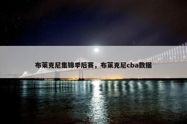 布莱克尼集锦季后赛,布莱克尼cba数据 布莱克尼集锦季后赛,布莱克尼cba数据