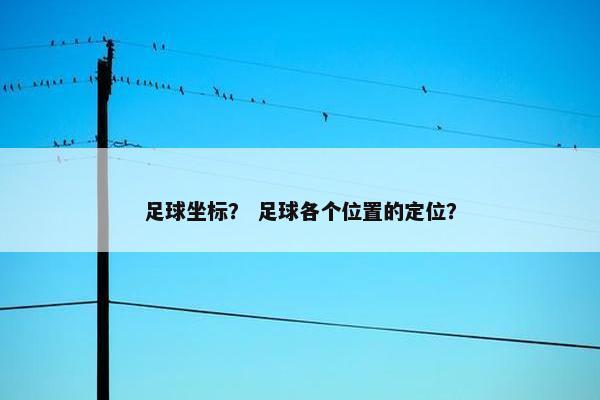 足球坐标? 足球各个位置的定位? 足球坐标? 足球各个位置的定位?