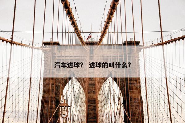 汽车进球？ 进球的叫什么？