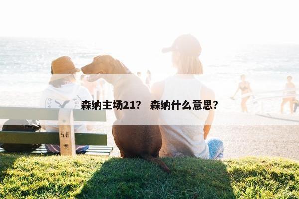 森纳主场21？ 森纳什么意思？