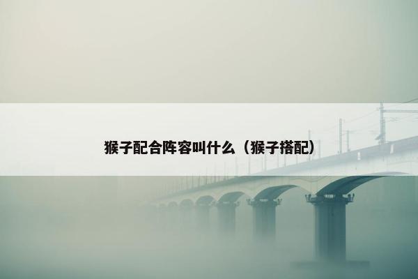 猴子配合阵容叫什么（猴子搭配）