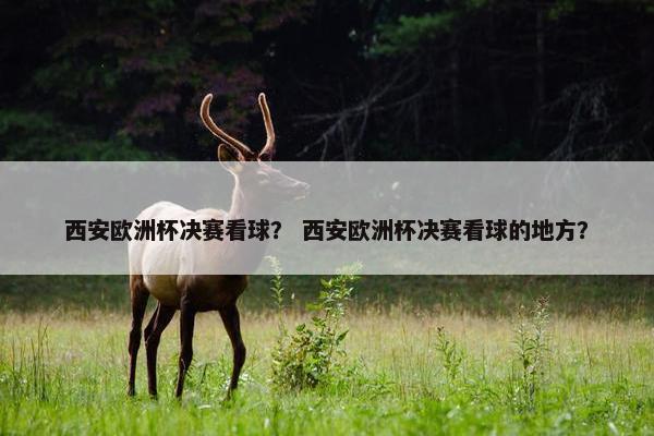 西安欧洲杯决赛看球？ 西安欧洲杯决赛看球的地方？