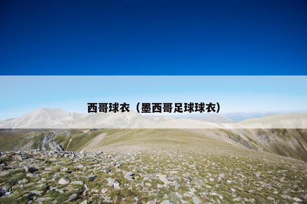 西哥球衣（墨西哥足球球衣）