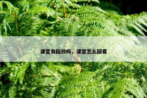 课堂有回放吗,课堂怎么回看 课堂有回放吗,课堂怎么回看