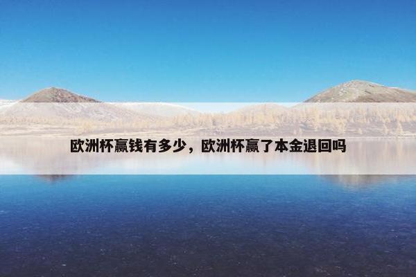 欧洲杯赢钱有多少，欧洲杯赢了本金退回吗