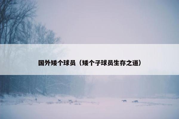 国外矮个球员（矮个子球员生存之道）