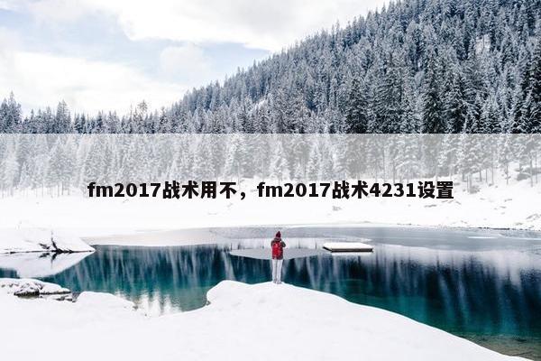 fm2017战术用不,fm2017战术4231设置 fm2017战术用不,fm2017战术4231设置