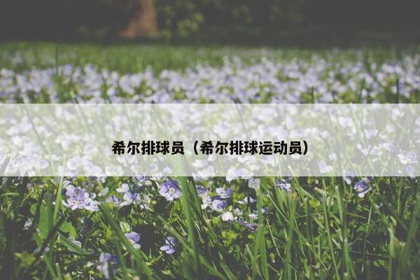 希尔排球员(希尔排球运动员) 希尔排球员(希尔排球运动员)