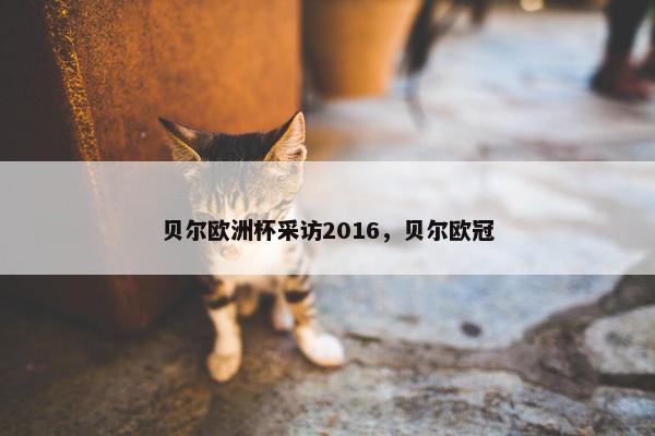 贝尔欧洲杯采访2016，贝尔欧冠