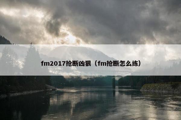 fm2017抢断凶狠（fm抢断怎么练）