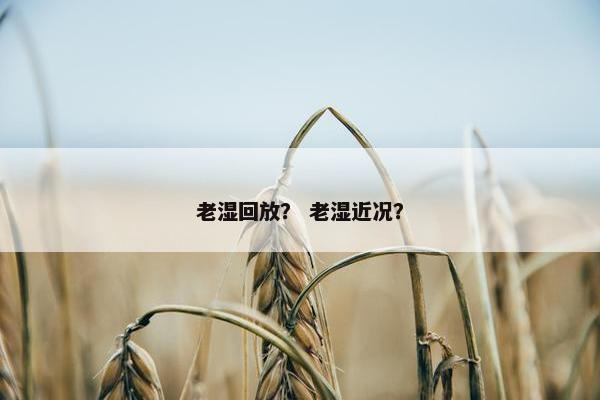 老湿回放? 老湿近况? 老湿回放? 老湿近况?