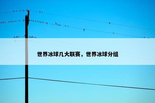 世界冰球几大联赛,世界冰球分组 世界冰球几大联赛,世界冰球分组