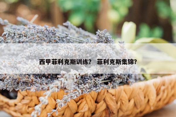西甲菲利克斯训练? 菲利克斯集锦? 西甲菲利克斯训练? 菲利克斯集锦?