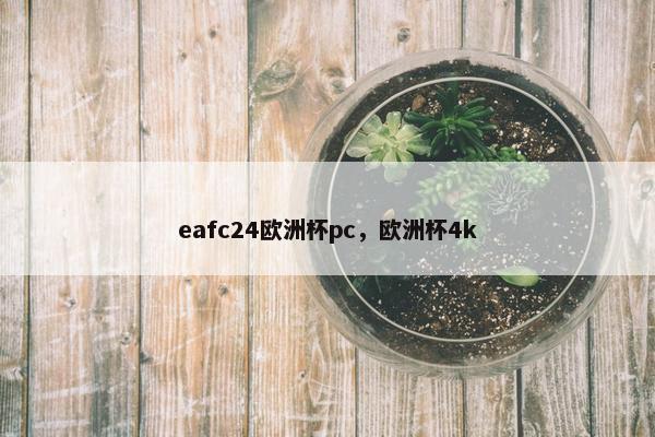 eafc24欧洲杯pc，欧洲杯4k