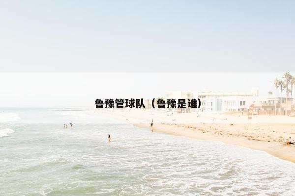鲁豫管球队（鲁豫是谁）