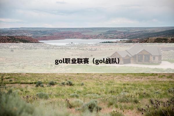 gol职业联赛（gol战队）