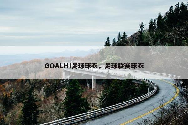 GOALHI足球球衣，足球联赛球衣
