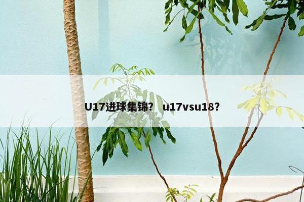 U17进球集锦？ u17vsu18？