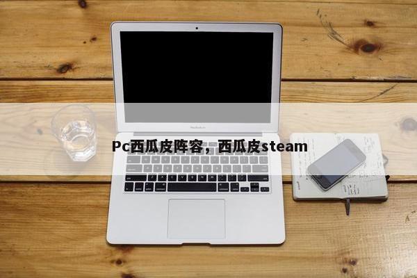 Pc西瓜皮阵容，西瓜皮steam