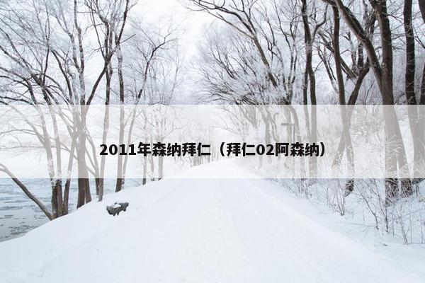 2011年森纳拜仁(拜仁02阿森纳) 2011年森纳拜仁(拜仁02阿森纳)