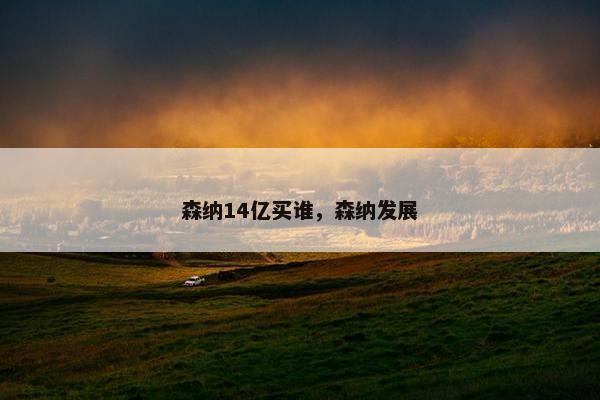 森纳14亿买谁，森纳发展