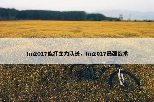 fm2017能打主力队长，fm2017最强战术