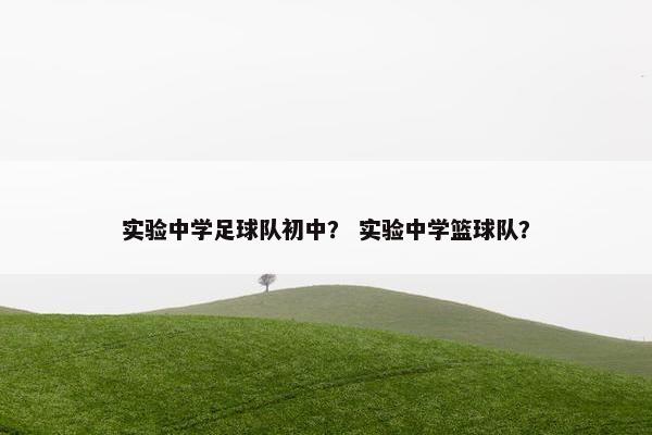 实验中学足球队初中？ 实验中学篮球队？