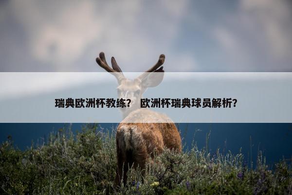 瑞典欧洲杯教练？ 欧洲杯瑞典球员解析？