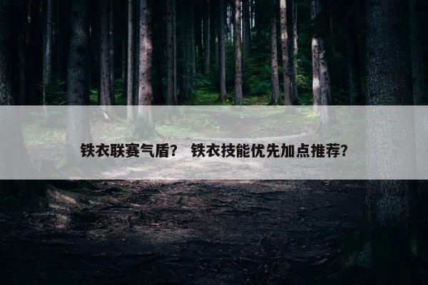 铁衣联赛气盾？ 铁衣技能优先加点推荐？