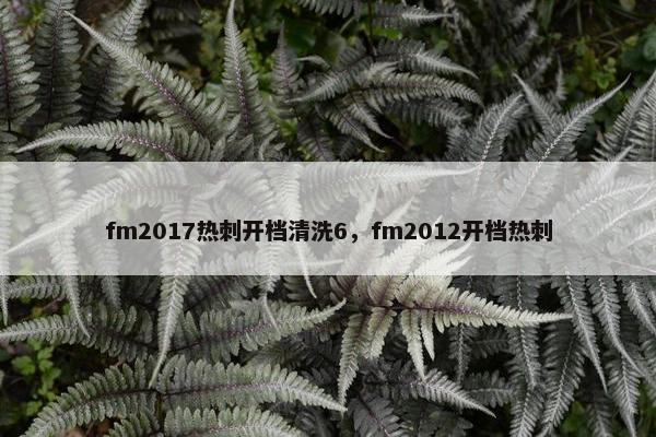 fm2017热刺开档清洗6,fm2012开档热刺 fm2017热刺开档清洗6,fm2012开档热刺
