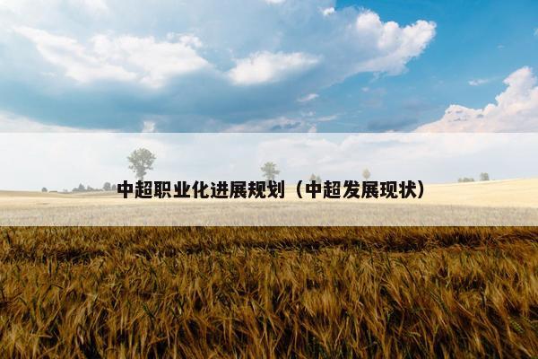 中超职业化进展规划（中超发展现状）
