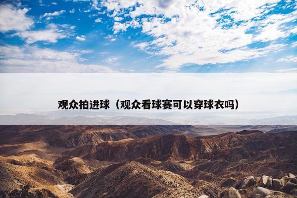 观众拍进球（观众看球赛可以穿球衣吗）