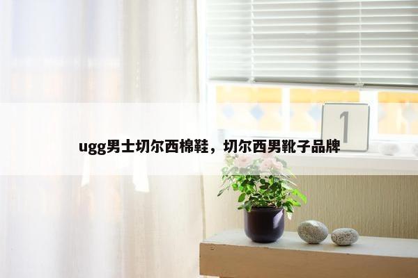 ugg男士切尔西棉鞋，切尔西男靴子品牌