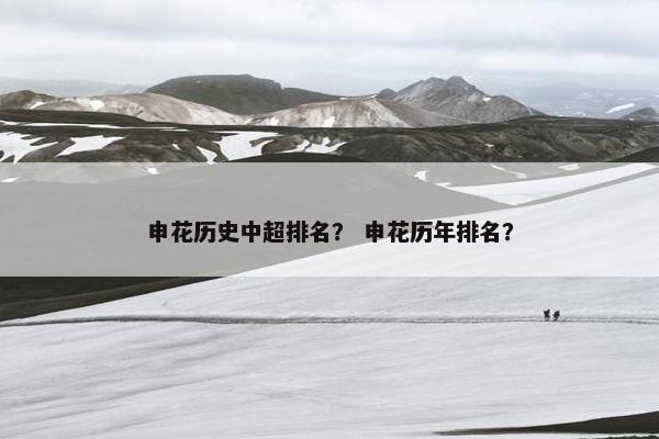 申花历史中超排名？ 申花历年排名？