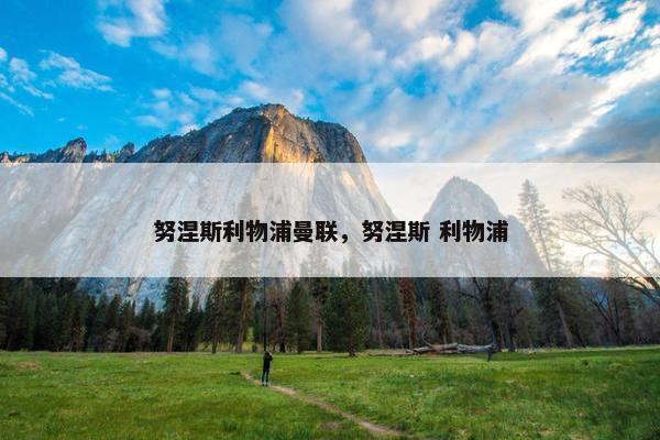 努涅斯利物浦曼联，努涅斯 利物浦