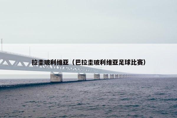 拉圭玻利维亚（巴拉圭玻利维亚足球比赛）