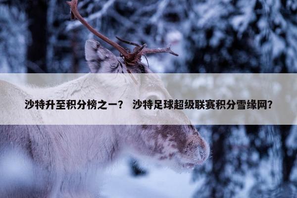 沙特升至积分榜之一？ 沙特足球超级联赛积分雪缘网？