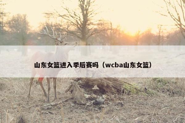 山东女篮进入季后赛吗(wcba山东女篮) 山东女篮进入季后赛吗(wcba山东女篮)