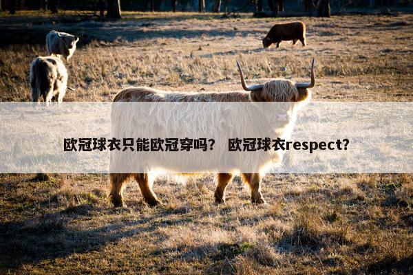 欧冠球衣只能欧冠穿吗? 欧冠球衣respect? 欧冠球衣只能欧冠穿吗? 欧冠球衣respect?