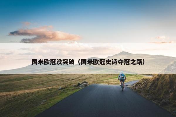 国米欧冠没突破（国米欧冠史诗夺冠之路）
