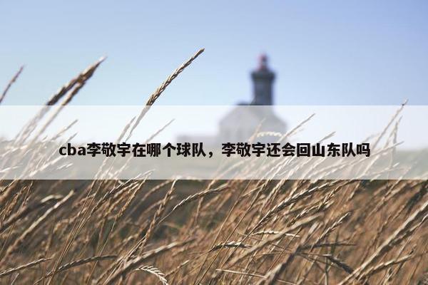 cba李敬宇在哪个球队,李敬宇还会回山东队吗 cba李敬宇在哪个球队,李敬宇还会回山东队吗