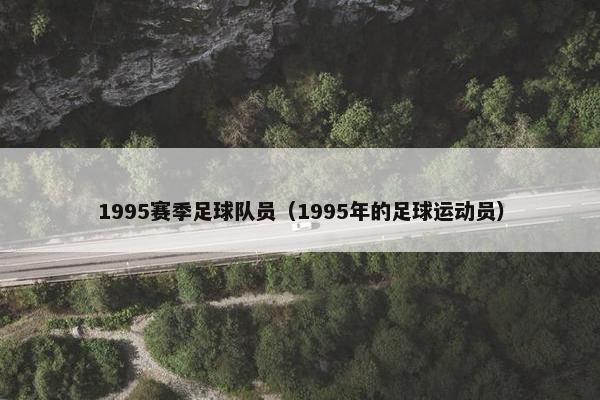 1995赛季足球队员(1995年的足球运动员) 1995赛季足球队员(1995年的足球运动员)