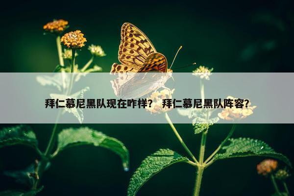 拜仁慕尼黑队现在咋样？ 拜仁慕尼黑队阵容？
