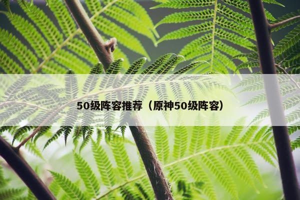 50级阵容推荐（原神50级阵容）