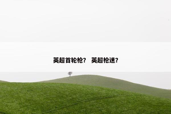 英超首轮枪? 英超枪迷? 英超首轮枪? 英超枪迷?